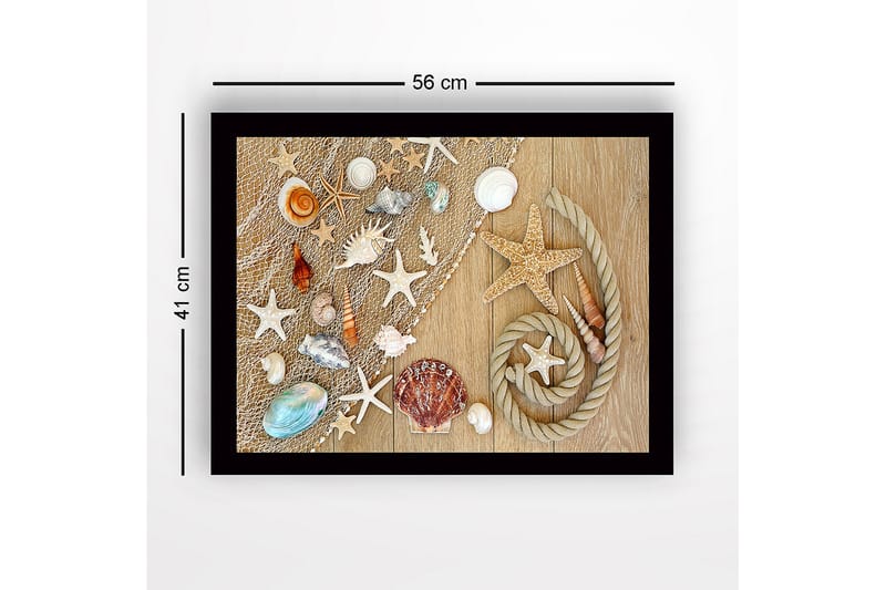 Inramad Canvastavla i trä - 41x56 cm - Havsinspirerad samling av snäckor och sjöstjärnor - Beige / Vit / Blå - Inredning - Tavlor & posters - Canvastavla
