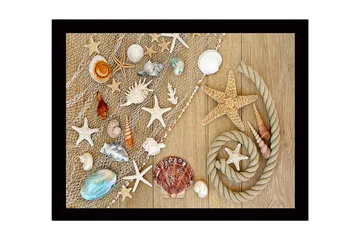 Inramad Canvastavla i trä - 41x56 cm - Havsinspirerad samling av snäckor och sjöstjärnor - Beige / Vit / Blå - Inredning - Tavlor & posters - Canvastavla