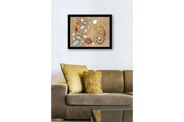 Inramad Canvastavla i trä - 41x56 cm - Havsinspirerad samling av snäckor och sjöstjärnor - Beige / Vit / Blå - Inredning - Tavlor & posters - Canvastavla