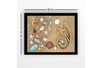 Inramad Canvastavla i trä - 41x56 cm - Havsinspirerad samling av snäckor och sjöstjärnor - Beige / Vit / Blå - Inredning - Tavlor & posters - Canvastavla