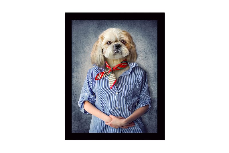 Inramad Canvastavla i trä - 41x56 cm - Hund med människoliknande drag klädd i skjorta och scarf, Blå / Beige / Röd
