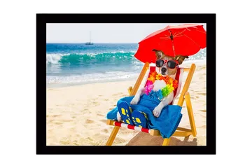Inramad Canvastavla i trä - 41x56 cm - Hund som kopplar av på stranden i solstol med solglasögon och parasoll - Röd / Blå / Gul - Inredning - Tavlor & posters - Canvastavla