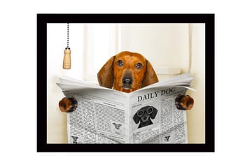 Inramad Canvastavla i trä - 41x56 cm - Hund som läser tidningen DAILY DOG - Brun / Svart / Vit - Inredning - Tavlor & posters - Canvastavla