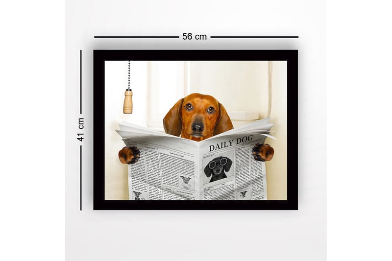 Inramad Canvastavla i trä - 41x56 cm - Hund som läser tidningen DAILY DOG - Brun / Svart / Vit - Inredning - Tavlor & posters - Canvastavla