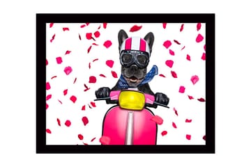 Inramad Canvastavla i trä - 41x56 cm - Hund på scooter med rosett av rosblad - Rosa / Svart / Gul - Inredning - Tavlor & posters - Canvastavla