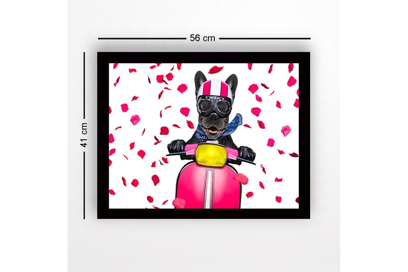Inramad Canvastavla i trä - 41x56 cm - Hund på scooter med rosett av rosblad - Rosa / Svart / Gul - Inredning - Tavlor & posters - Canvastavla