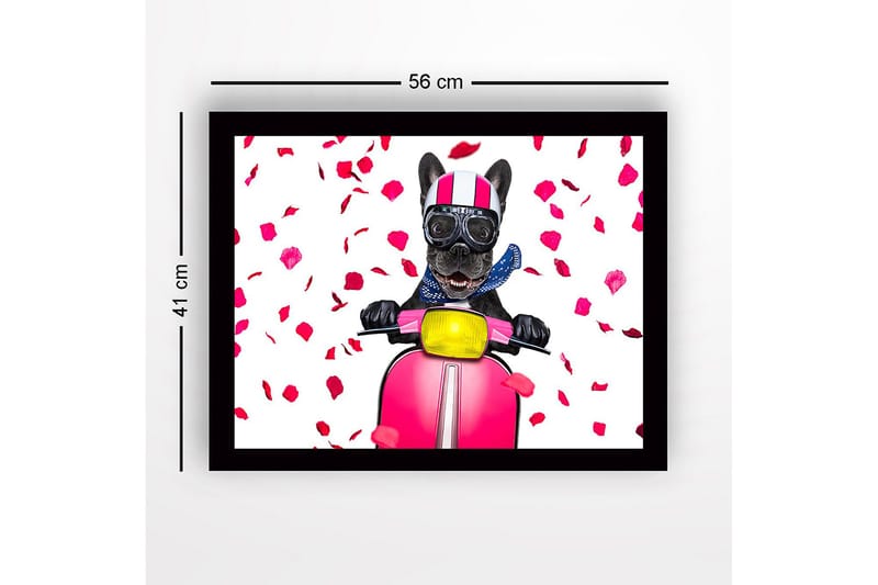 Inramad Canvastavla i trä - 41x56 cm - Hund på scooter med rosett av rosblad - Rosa / Svart / Gul - Inredning - Tavlor & posters - Canvastavla