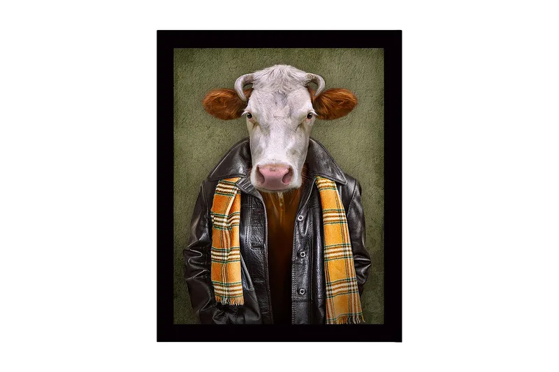 Inramad Canvastavla i trä - 41x56 cm - Klädd ko med läderjacka och scarf - Svart / Orange / Grön - Inredning - Tavlor & posters - Canvastavla