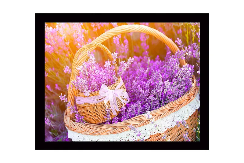 Inramad Canvastavla i trä - 41x56 cm - Korg fylld med lavendelblommor, Lila / Grön / Brun