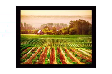 Inramad Canvastavla i trä - 41x56 cm - Lantlig scen med ett rött hus omgiven av gröna fält och plöjda åkrar - Grön / Orange / Röd - Inredning - Tavlor & posters - Canvastavla