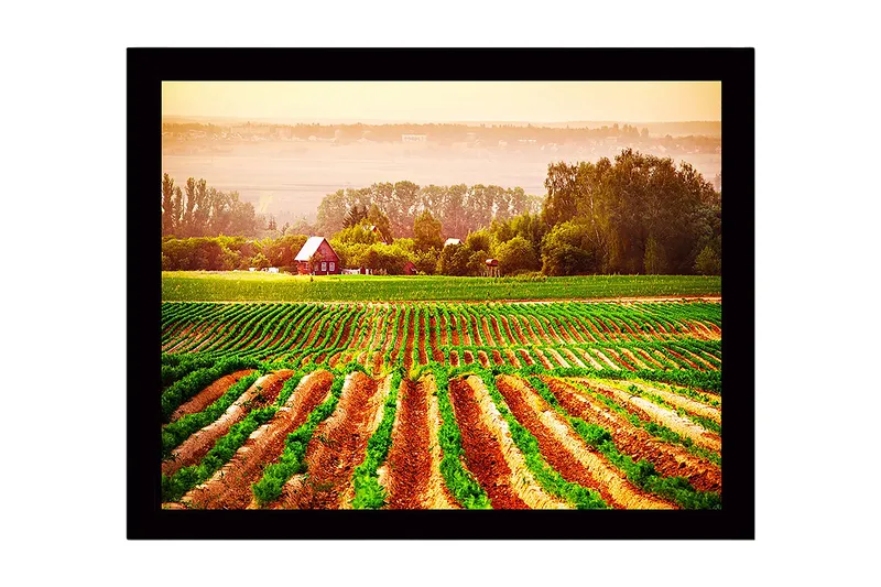 Inramad Canvastavla i trä - 41x56 cm - Lantlig scen med ett rött hus omgiven av gröna fält och plöjda åkrar - Grön / Orange / Röd - Inredning - Tavlor & posters - Canvastavla