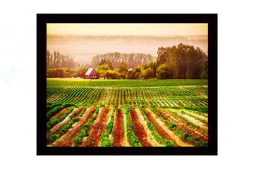 Inramad Canvastavla i trä - 41x56 cm - Lantlig scen med ett rött hus omgiven av gröna fält och plöjda åkrar - Grön / Orange / Röd - Inredning - Tavlor & posters - Canvastavla