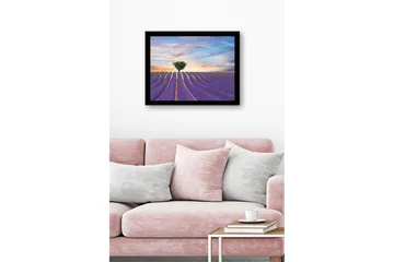 Inramad Canvastavla i trä - 41x56 cm - Lavendelfält med en ensam trädkrona i horisonten - Lila / Grön / Beige - Inredning - Tavlor & posters - Canvastavla