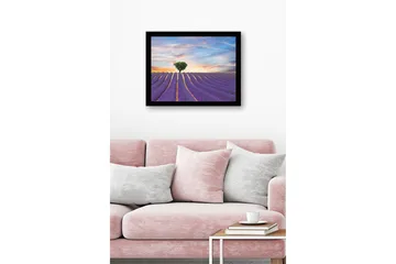 Inramad Canvastavla i trä - 41x56 cm - Lavendelfält med en ensam trädkrona i horisonten - Lila / Grön / Beige - Inredning - Tavlor & posters - Canvastavla