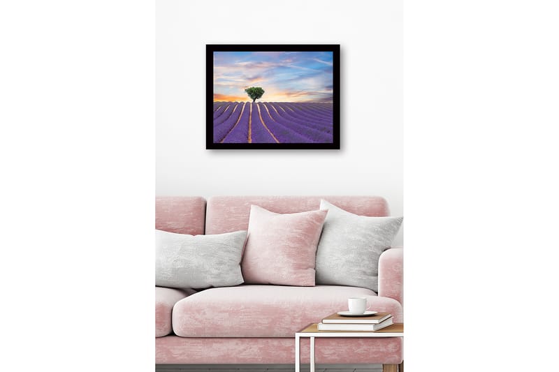 Inramad Canvastavla i trä - 41x56 cm - Lavendelfält med en ensam trädkrona i horisonten - Lila / Grön / Beige - Inredning - Tavlor & posters - Canvastavla