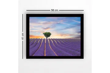 Inramad Canvastavla i trä - 41x56 cm - Lavendelfält med en ensam trädkrona i horisonten - Lila / Grön / Beige - Inredning - Tavlor & posters - Canvastavla