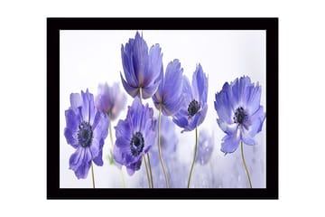 Inramad Canvastavla i trä - 41x56 cm - Lila blommor i en harmonisk komposition - Lila / Svart / Vit - Inredning - Tavlor & posters - Canvastavla