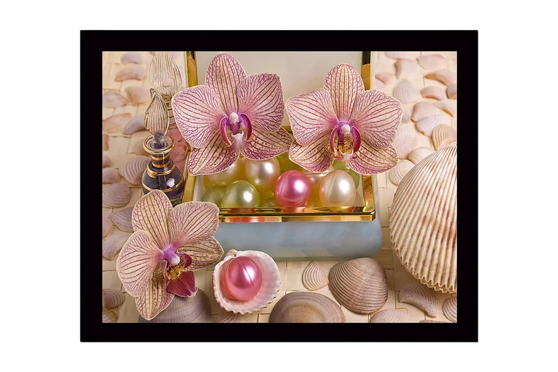 Inramad Canvastavla i trä - 41x56 cm - Ljuvliga orkidéer omgivna av pärlor och snäckor, Ljusrosa / Grön / Pärlvit