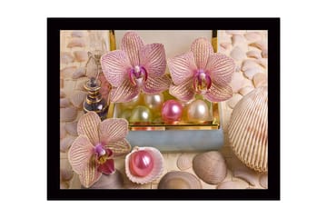 Inramad Canvastavla i trä - 41x56 cm - Ljuvliga orkidéer omgivna av pärlor och snäckor - Ljusrosa / Grön / Pärlvit - Inredning - Tavlor & posters - Canvastavla
