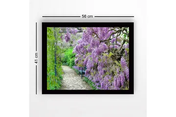 Inramad Canvastavla i trä - 41x56 cm - Lummig gång med blommande wisteria i lila nyanser - Lila / Grön - Inredning - Tavlor & posters - Canvastavla
