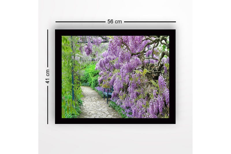 Inramad Canvastavla i trä - 41x56 cm - Lummig gång med blommande wisteria i lila nyanser - Lila / Grön - Inredning - Tavlor & posters - Canvastavla