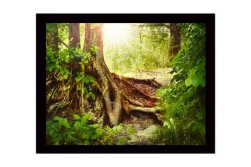 Inramad Canvastavla i trä - 41x56 cm - Lummig skog med en stor trädrot och solstrålar som sipprar genom lövverket - Grön / Brun / Gul - Inredning - Tavlor & posters - Canvastavla