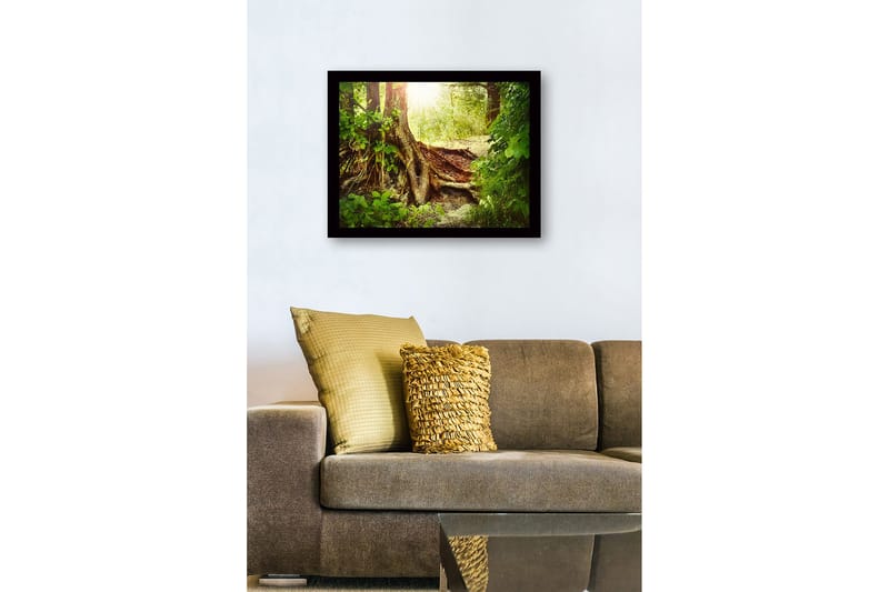 Inramad Canvastavla i trä - 41x56 cm - Lummig skog med en stor trädrot och solstrålar som sipprar genom lövverket - Grön / Brun / Gul - Inredning - Tavlor & posters - Canvastavla