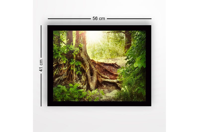 Inramad Canvastavla i trä - 41x56 cm - Lummig skog med en stor trädrot och solstrålar som sipprar genom lövverket - Grön / Brun / Gul - Inredning - Tavlor & posters - Canvastavla