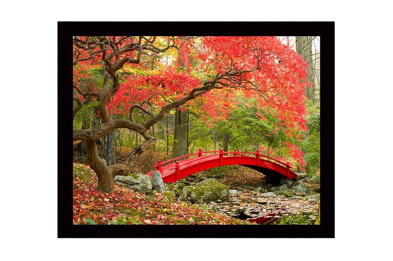 Inramad Canvastavla i trä - 41x56 cm - Röd bro omgiven av höstfärgade träd och löv, Röd / Grön / Brun