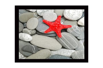 Inramad Canvastavla i trä - 41x56 cm - Röd sjöstjärna på en samling grå stenar - Grå / Röd - Inredning - Tavlor & posters - Canvastavla