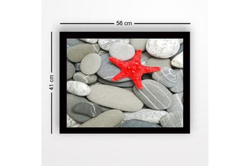 Inramad Canvastavla i trä - 41x56 cm - Röd sjöstjärna på en samling grå stenar - Grå / Röd - Inredning - Tavlor & posters - Canvastavla