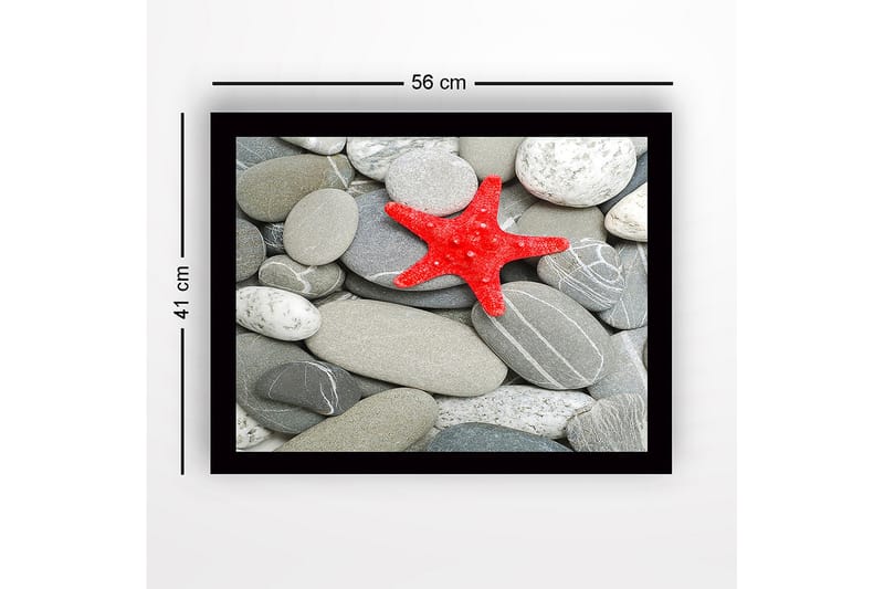 Inramad Canvastavla i trä - 41x56 cm - Röd sjöstjärna på en samling grå stenar - Grå / Röd - Inredning - Tavlor & posters - Canvastavla