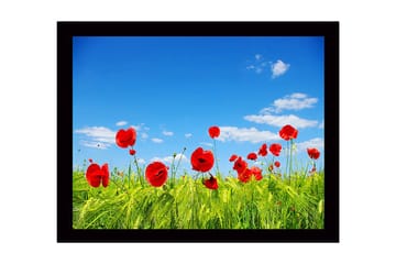 Inramad Canvastavla i trä - 41x56 cm - Röd vallmo i en grön äng under en klarblå himmel - Röd / Grön / Blå - Inredning - Tavlor & posters - Canvastavla
