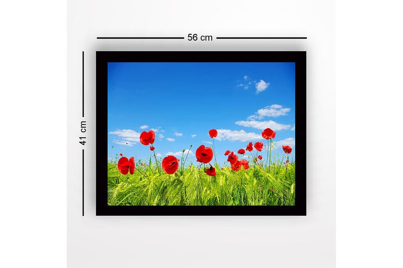 Inramad Canvastavla i trä - 41x56 cm - Röd vallmo i en grön äng under en klarblå himmel - Röd / Grön / Blå - Inredning - Tavlor & posters - Canvastavla