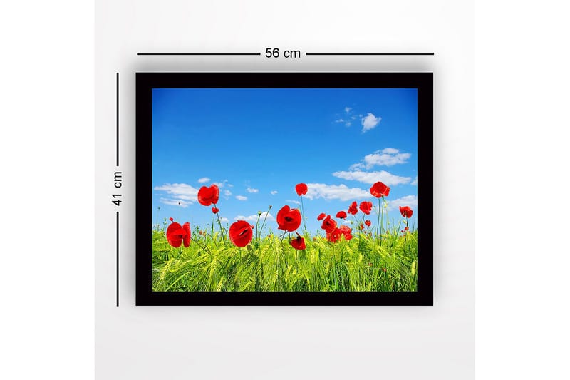 Inramad Canvastavla i trä - 41x56 cm - Röd vallmo i en grön äng under en klarblå himmel - Röd / Grön / Blå - Inredning - Tavlor & posters - Canvastavla