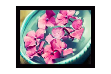 Inramad Canvastavla i trä - 41x56 cm - Rosa blommor som flyter i en skål med vatten - Rosa / Turkos / Grön - Inredning - Tavlor & posters - Canvastavla