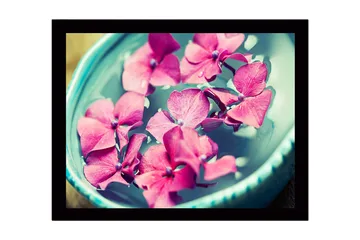 Inramad Canvastavla i trä - 41x56 cm - Rosa blommor som flyter i en skål med vatten - Rosa / Turkos / Grön - Inredning - Tavlor & posters - Canvastavla