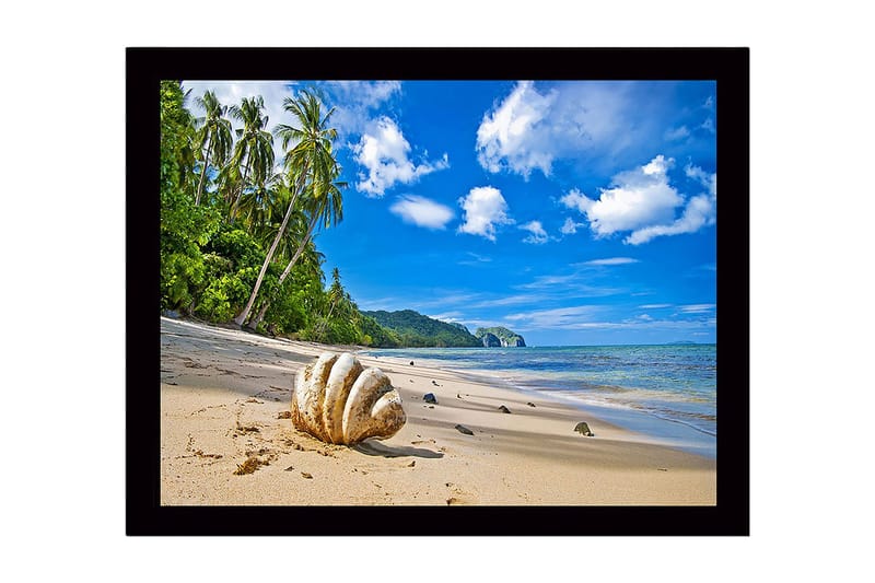 Inramad Canvastavla i trä - 41x56 cm - Snäckskal på en solig strand med palmer i bakgrunden - Blå / Grön / Beige - Inredning - Tavlor & posters - Canvastavla