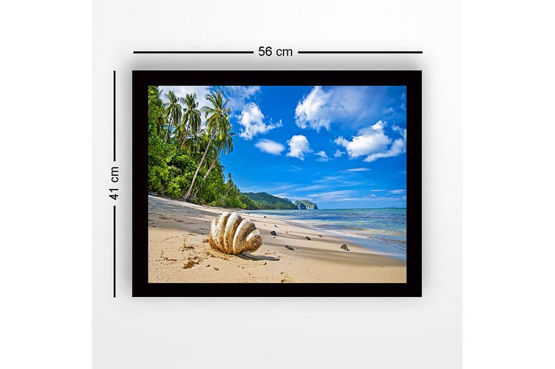 Inramad Canvastavla i trä - 41x56 cm - Snäckskal på en solig strand med palmer i bakgrunden - Blå / Grön / Beige - Inredning - Tavlor & posters - Canvastavla