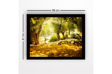 Inramad Canvastavla i trä - 41x56 cm - Solbelyst skog med olivträd - Grön / Guld / Brun - Inredning - Tavlor & posters - Canvastavla