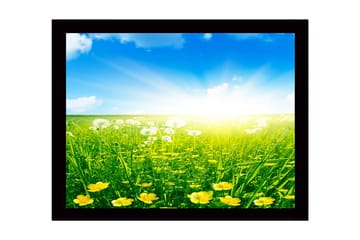 Inramad Canvastavla i trä - 41x56 cm - Solig äng med gula blommor och grönt gräs - Gult / Grönt / Blått - Inredning - Tavlor & posters - Canvastavla