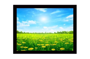 Inramad Canvastavla i trä - 41x56 cm - Solig äng med maskrosor i blomning - Grön / Gul / Blå - Inredning - Tavlor & posters - Canvastavla