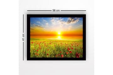 Inramad Canvastavla i trä - 41x56 cm - Solnedgång över en blomstrande äng med vallmo - Gult / Grönt / Rött - Inredning - Tavlor & posters - Canvastavla