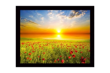 Inramad Canvastavla i trä - 41x56 cm - Solnedgång över en blomstrande äng med vallmo - Gult / Grönt / Rött - Inredning - Tavlor & posters - Canvastavla