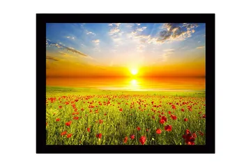Inramad Canvastavla i trä - 41x56 cm - Solnedgång över en blomstrande äng med vallmo - Gult / Grönt / Rött - Inredning - Tavlor & posters - Canvastavla