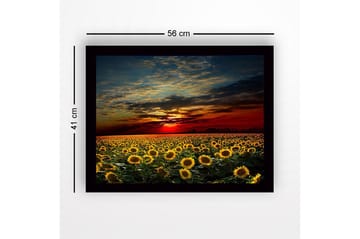 Inramad Canvastavla i trä - 41x56 cm - Solrosfält under en färgsprakande solnedgång - Gult / Orange / Blått - Inredning - Tavlor & posters - Canvastavla
