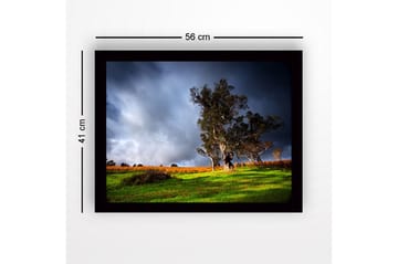 Inramad Canvastavla i trä - 41x56 cm - Ståtlig ek i en dramatisk landskapsmiljö - Mörkgrön / Grå / Orange - Inredning - Tavlor & posters - Canvastavla