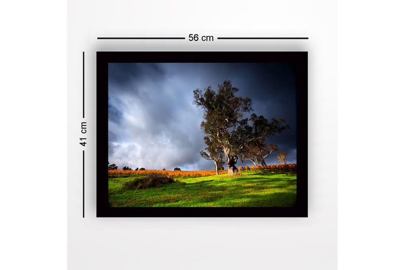 Inramad Canvastavla i trä - 41x56 cm - Ståtlig ek i en dramatisk landskapsmiljö - Mörkgrön / Grå / Orange - Inredning - Tavlor & posters - Canvastavla