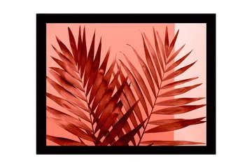 Inramad Canvastavla i trä - 41x56 cm - Stora, stiliserade palmblad i röd nyans - Röd / Ljusrosa - Inredning - Tavlor & posters - Canvastavla