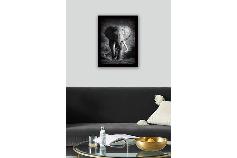 Inramad Canvastavla i trä - 41x56 cm - Storslagen elefant i majestätisk pose - Svart / Grå - Inredning - Tavlor & posters - Canvastavla